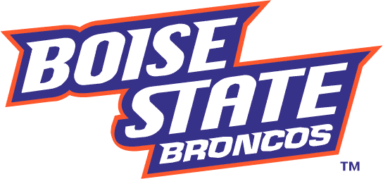 Boise State Broncos 2002-2012 Wordmark Logo v3 DIY iron on transfer (heat transfer)